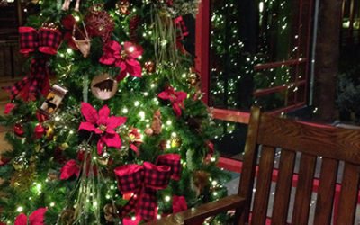 Vancouver Christmas Light Tours by Kavanagh | Kavanagh Limousine