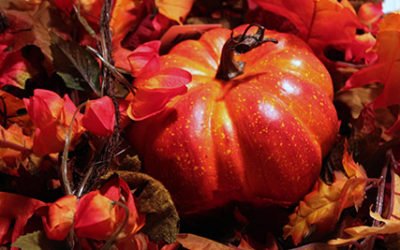 Vancouver Thanksgiving Sedan Service | Kavanagh Limousine